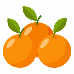 a group of Valencian oranges, on white background