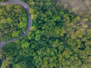 Aerial view of green forest and highway road with car and truck transport. Green trees and morning...