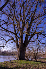 Hiking on Gsruet Danube Island Straubing in Bavaria