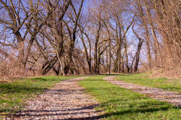 Hiking on Gsruet Danube Island Straubing in Bavaria