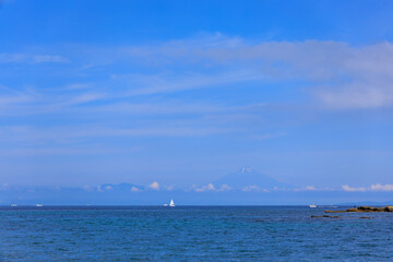 ヤシの木の生える、一年中営業しているおしゃれなビーチ。
水平線に遠く富士山が見えている。

日本国神奈川県三浦市荒井浜。
2024年6月撮影。
