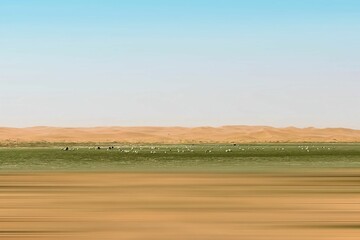 Obraz premium Oasis in the Desert