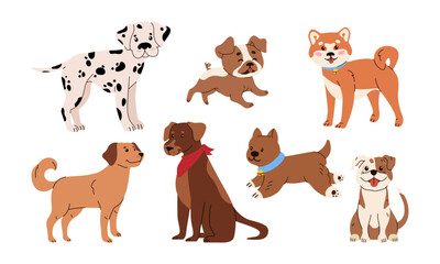 Set of dogs. Doggies of different breed. Flat vector illustration isolated on white background. Funny domestic pets, cute cheerful animals, joyful doggies collection. Dogs pack with shiba inu, pug