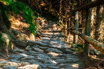 Hiking Hochmuth Southtyrol near Dorf Tirol. With sights over Meran.