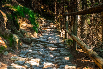 Hiking Hochmuth Southtyrol near Dorf Tirol. With sights over Meran.