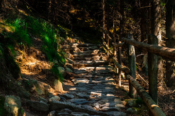 Hiking Hochmuth Southtyrol near Dorf Tirol. With sights over Meran.