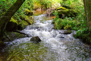 Fototapeta premium Hiking Big Ohe Stream near Castle Ransberg in the bavarian Forests.