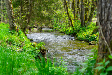 Hiking around Lalling in the Bavarian Forest, Ponds and Streams in this Area.