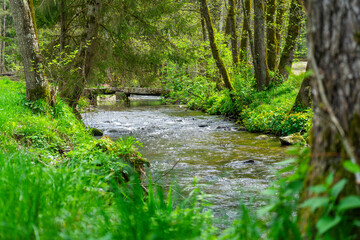 Hiking around Lalling in the Bavarian Forest, Ponds and Streams in this Area.