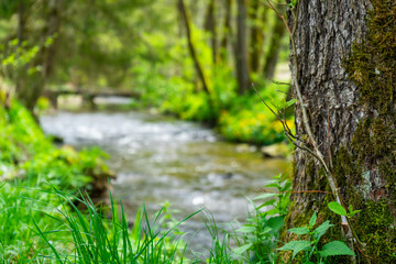 Hiking around Lalling in the Bavarian Forest, Ponds and Streams in this Area.