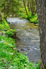 Hiking around Lalling in the Bavarian Forest, Ponds and Streams in this Area.