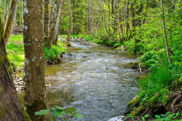 Hiking around Lalling in the Bavarian Forest, Ponds and Streams in this Area.