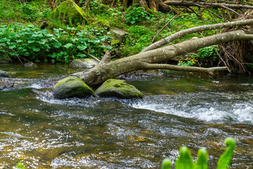 Hiking around Lalling in the Bavarian Forest, Ponds and Streams in this Area.