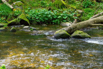 Hiking around Lalling in the Bavarian Forest, Ponds and Streams in this Area.