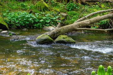 Hiking around Lalling in the Bavarian Forest, Ponds and Streams in this Area.
