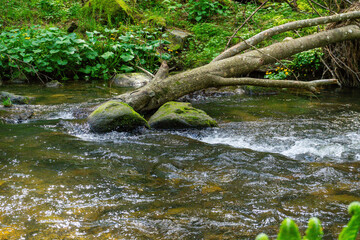 Hiking around Lalling in the Bavarian Forest, Ponds and Streams in this Area.