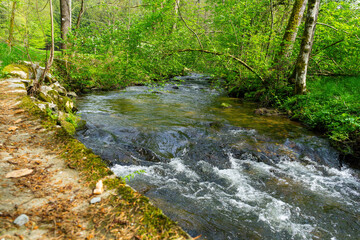 Hiking around Lalling in the Bavarian Forest, Ponds and Streams in this Area.