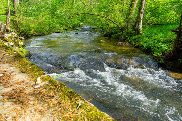 Hiking around Lalling in the Bavarian Forest, Ponds and Streams in this Area.