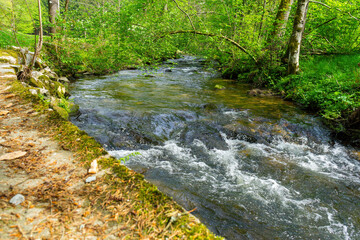 Hiking around Lalling in the Bavarian Forest, Ponds and Streams in this Area.