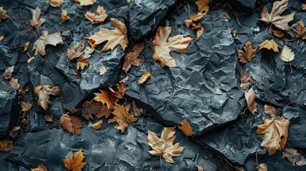 Dry leaves ripped in rocky locations