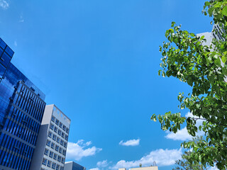 Fototapeta premium a bright blue sky with a few scattered clouds, providing a vibrant backdrop to modern buildings. On the left, buildings with glass facades reflect the clear sky