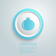 Pomegranate icon in modern flat style vector