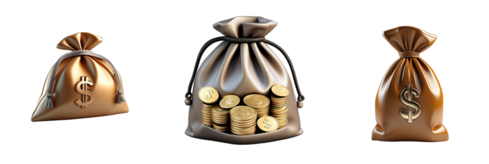 money bag isolated on transparent background