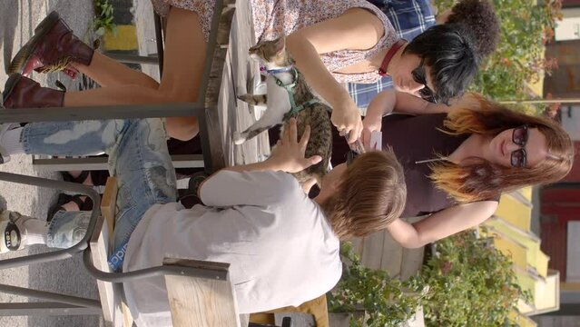 Host of the event explains the rules to participants. Speed dating at summer outdoors. Social event or dating activity where people meet a large number of potential partners or dates in short period.