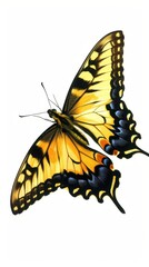 Fototapeta premium A butterfly with black and yellow wings is flying in the air. The butterfly is the main focus of the image, and it is in motion. The image has a serene and peaceful mood, as the butterfly is free