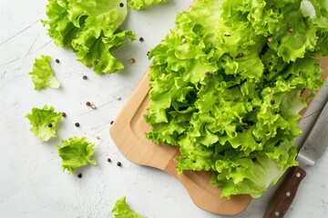 Organic Chopped Lettuce Vegetable Salad. A Deliciously Nutritious Vegan Meal for a Healthy Diet
