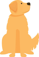 Friendly golden retriever dog sitting and looking up, perfect for pet related designs