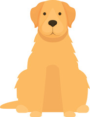 Golden retriever sitting and waiting patiently