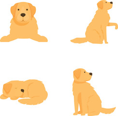 Vector illustrations of a friendly labrador in various cute poses, perfect for petthemed designs