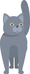 Friendly gray cat stands with its paw playfully raised