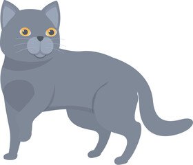 Cartoon grey cat standing and looking curious, domestic animal pet