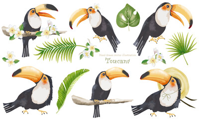 熱帯の植物とオオハシ（キョシチョウ）のイラスト素材セット © 桜 みずき