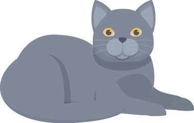 Grey british shorthair cat lying down and relaxing, isolated on a white background