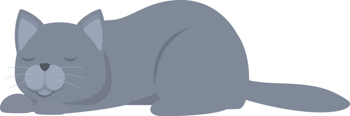 Grey cat sleeping peacefully on the floor, isolated on a white background