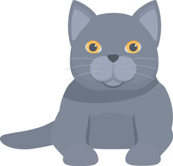 Adorable cartoon grey british shorthair cat sitting and smiling