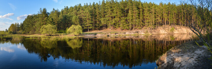 Panorama of the forest river.