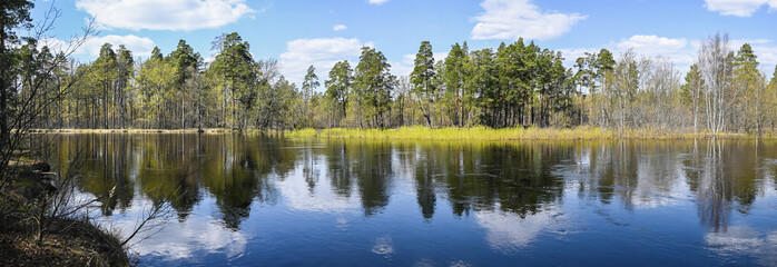 Panorama of the forest river.