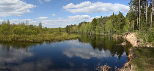 Panorama of the forest river.
