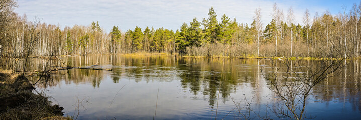 Panorama of the forest river.