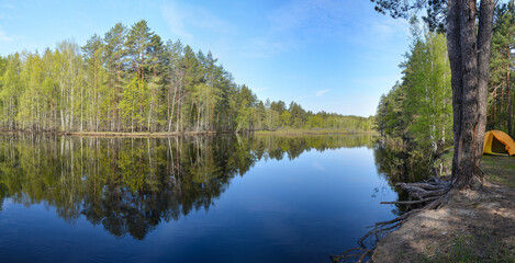 Panorama of the forest river.