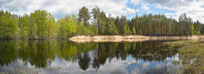 Panorama of the forest river.