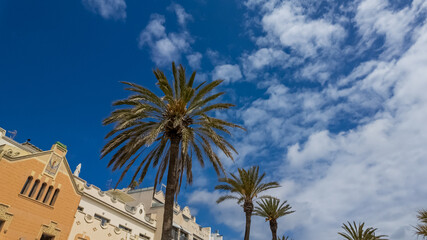 Tall palm trees stand against a vivid blue sky with scattered clouds above a Mediterranean-style building, conveying a sense of tropical summer and travel