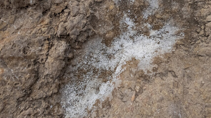 Close-up texture of natural brown soil with crystalline white salt deposits, ideal for geology, agriculture, and environmental-themed designs