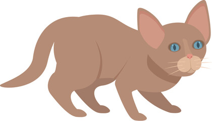 Illustration of a brown kitten walking with blue eyes, isolated on white background