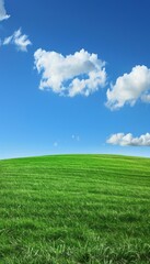 Fototapeta premium Picture a beautiful landscape with clean, green grass stretching out under a clear blue sky