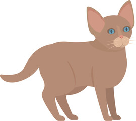 Simple illustration of a brown cat standing with blue eyes